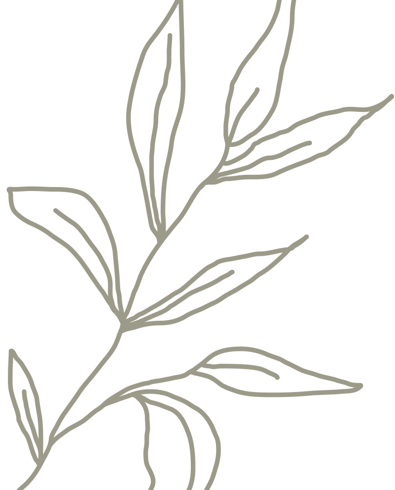 Les soins de Camargue_ SPA et Formations